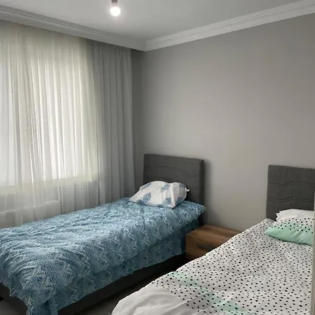 Apartment Valley House